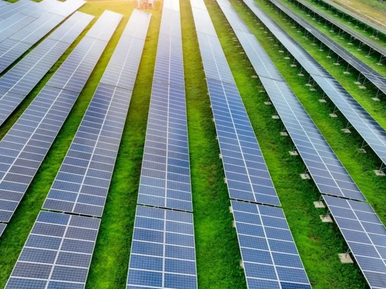 Renewable Energy Stocks Stay Active as Suzlon, Waaree, NTPC Green, and Adani Green Draw Market Attention on July 28